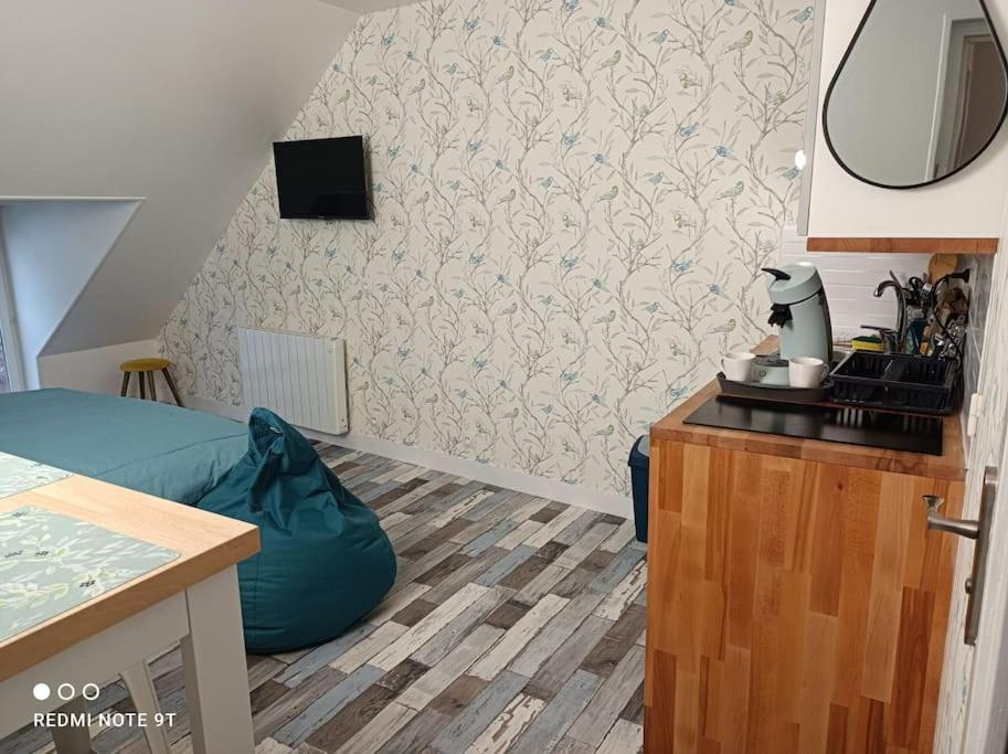 Magnifique Studio Climatisation, Parking A Velos, Velos En Option, Centre Ville Parking Prive Jardin Montargis Exterior foto